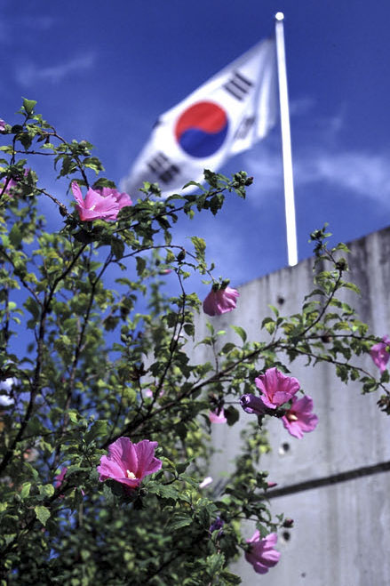 무궁화와 태극기