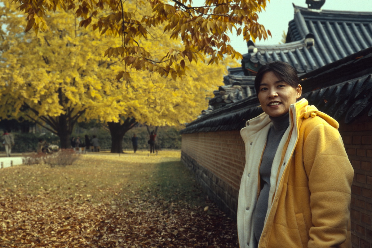 노랑한 경복궁