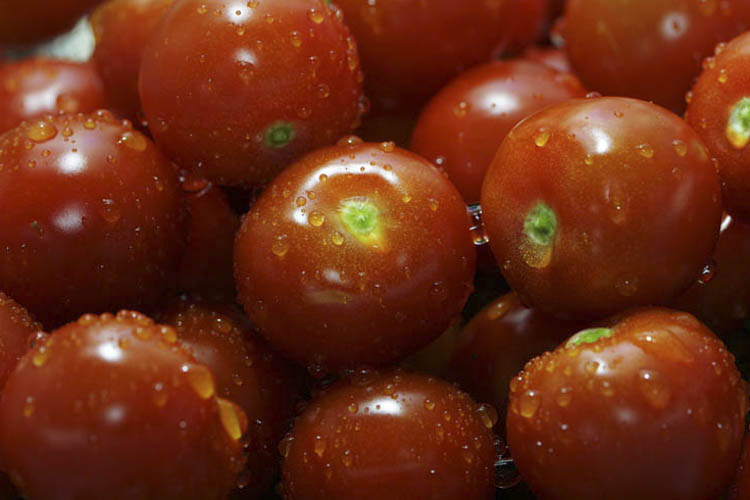 cherry tomato