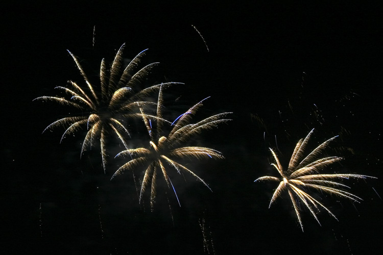 IMG_7818.jpg