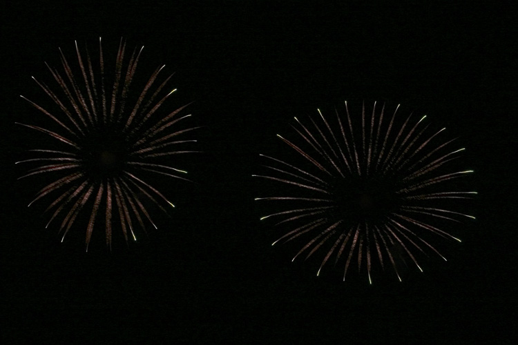 IMG_7867.jpg