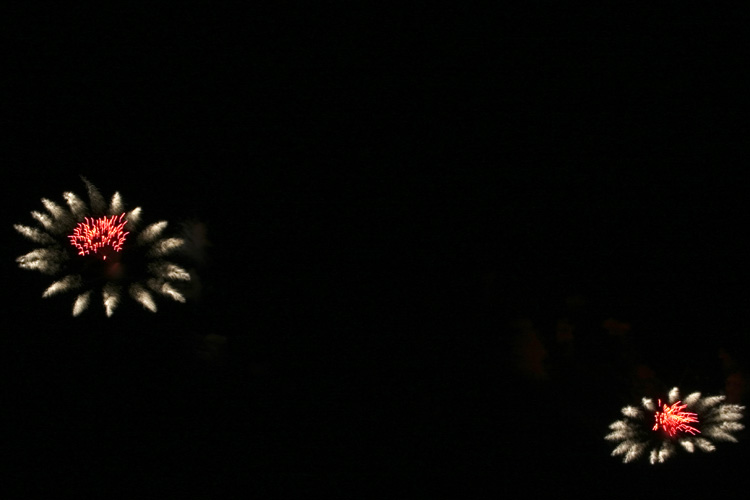IMG_7961.jpg