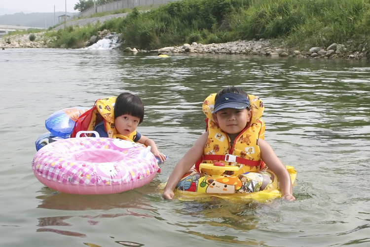 포천 파인트리