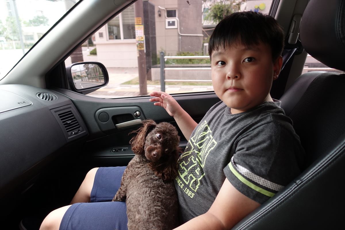 도도를 맡기러?