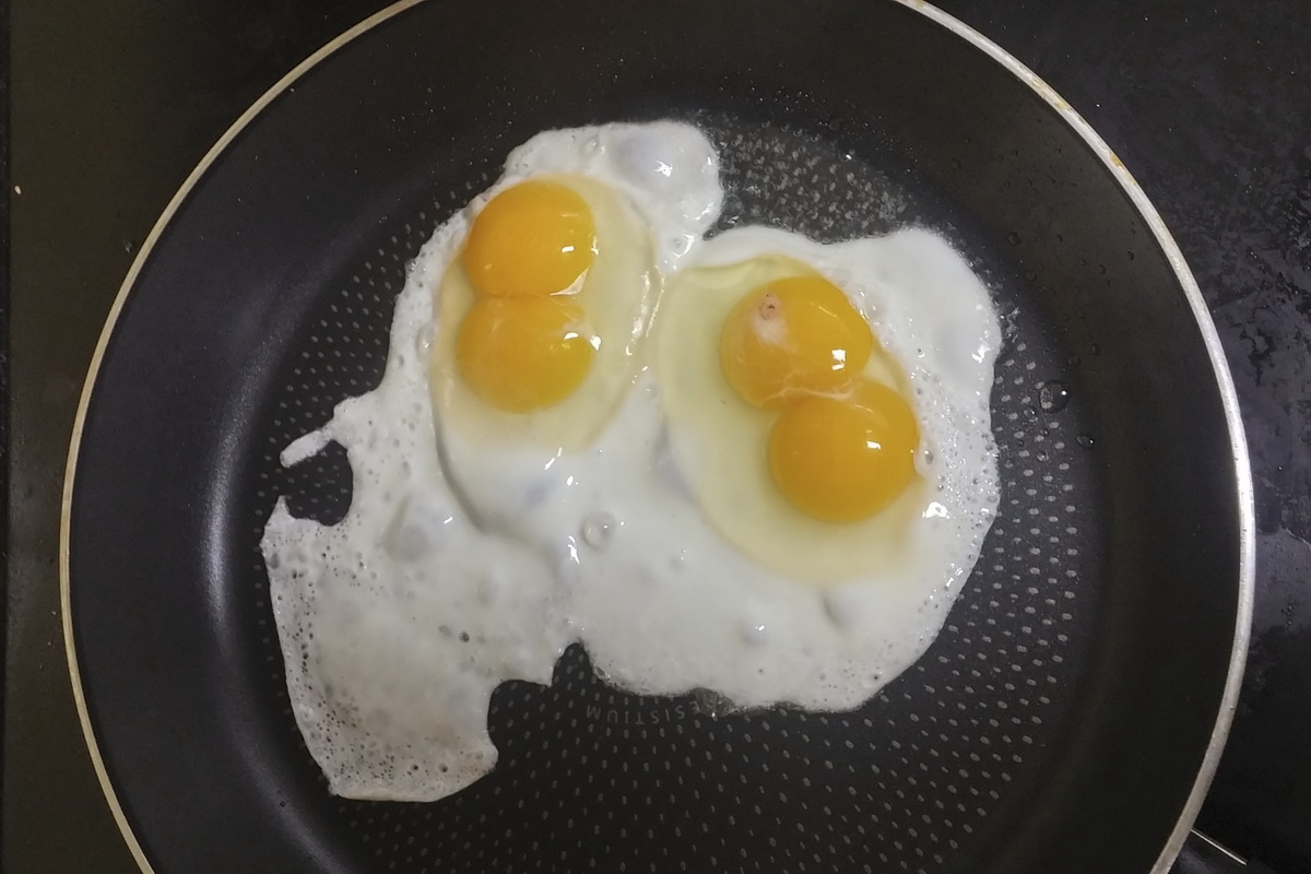 쌍란