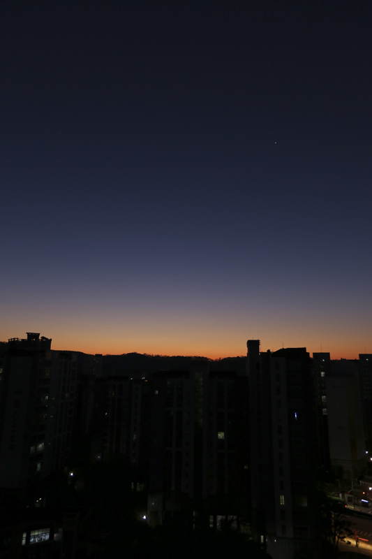 여명